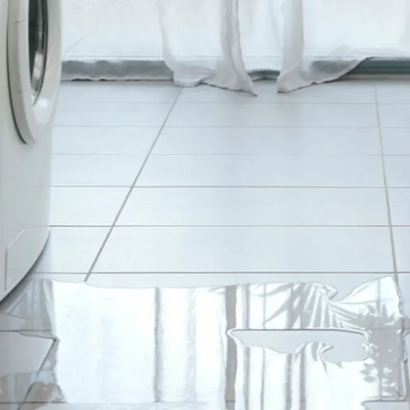 Appliance Leak Cleanup in Holly Springs, GA