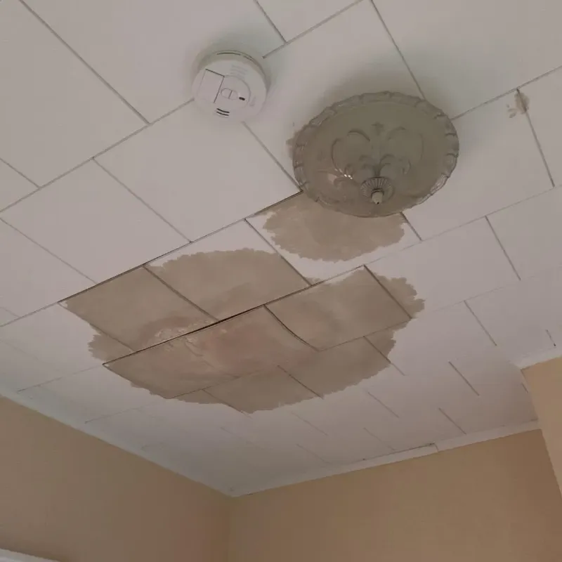 Ceiling Water Damage Repair in Holly Springs, GA