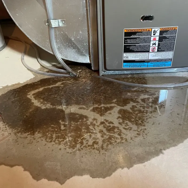 Pipe Burst and Leak Restoration in Holly Springs, GA