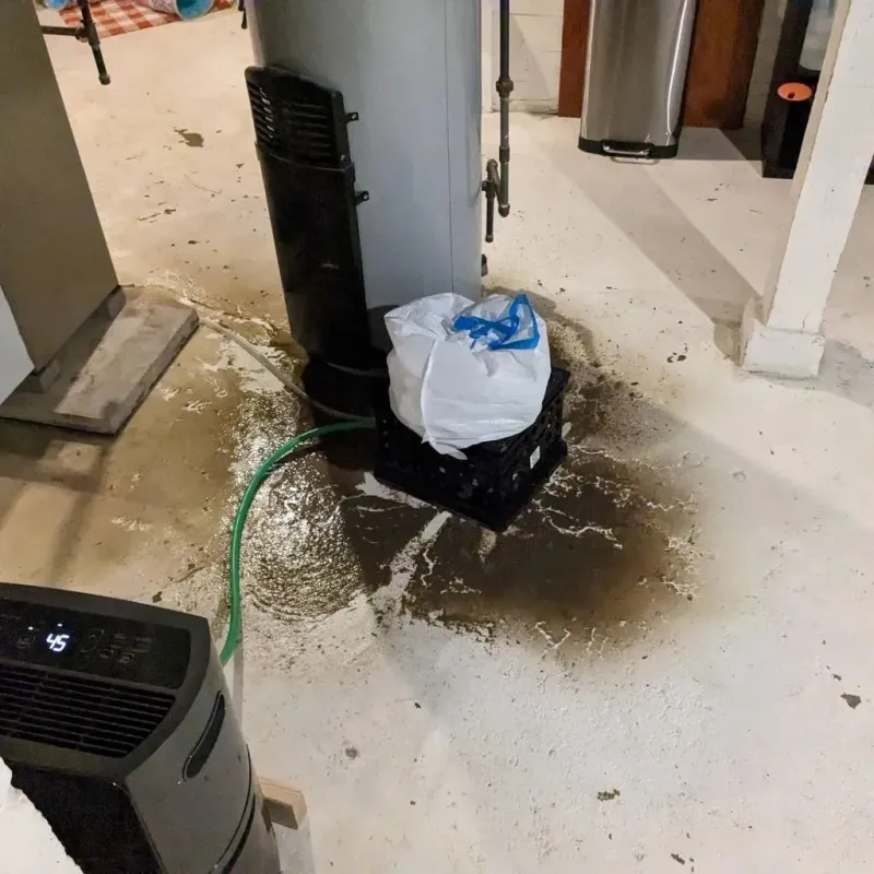 Sewage Backup Cleanup Service in Holly Springs, GA
